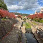 ヒメ日記 2025/11/14 09:07 投稿 さわ 熟女家 十三店