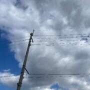 ヒメ日記 2025/12/04 09:14 投稿 さわ 熟女家 十三店