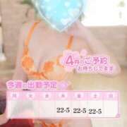 ヒメ日記 2025/04/03 10:53 投稿 さく 名古屋回春性感マッサージ倶楽部