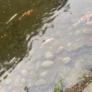 ヒメ日記 2025/04/16 12:41 投稿 さく 名古屋回春性感マッサージ倶楽部