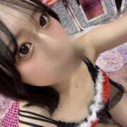 ヒメ日記 2024/12/21 11:30 投稿 うた タレント倶楽部プレミアム