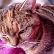 ヒメ日記 2025/02/24 18:16 投稿 大綱 熟女の風俗最終章 新横浜店