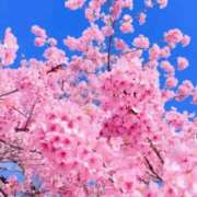 ヒメ日記 2025/04/03 11:26 投稿 大綱 熟女の風俗最終章 新横浜店