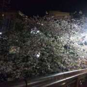 ヒメ日記 2025/04/09 04:26 投稿 大綱 熟女の風俗最終章 新横浜店