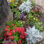 ヒメ日記 2025/05/12 22:26 投稿 大綱 熟女の風俗最終章 新横浜店