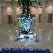 ヒメ日記 2025/05/21 09:26 投稿 大綱 熟女の風俗最終章 新横浜店