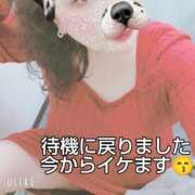 ヒメ日記 2025/07/01 02:06 投稿 大綱 熟女の風俗最終章 新横浜店