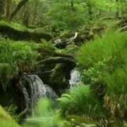 ヒメ日記 2025/07/29 23:55 投稿 大綱 熟女の風俗最終章 新横浜店