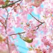 ヒメ日記 2025/08/06 07:06 投稿 大綱 熟女の風俗最終章 新横浜店