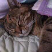 ヒメ日記 2025/11/06 17:56 投稿 大綱 熟女の風俗最終章 新横浜店