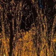 ヒメ日記 2025/12/10 21:32 投稿 かなみ Luminous