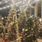 ヒメ日記 2025/12/19 21:40 投稿 かなみ Luminous