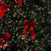 ヒメ日記 2025/12/22 23:12 投稿 かなみ Luminous