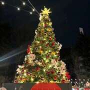 ヒメ日記 2025/12/24 20:35 投稿 さら Luminous