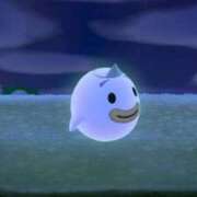 ヒメ日記 2026/03/03 21:02 投稿 なみ Luminous