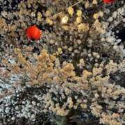 ヒメ日記 2026/04/10 21:02 投稿 なみ Luminous