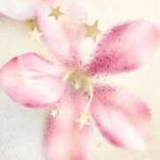 ヒメ日記 2025/12/17 20:12 投稿 みあ Luminous