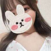 みみ ^ ^ ぷりぷりプリン