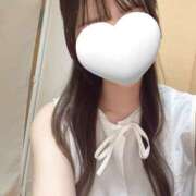 みみ みみです🐰 ぷりぷりプリン