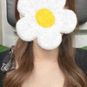 みみ みみです🤍 ぷりぷりプリン