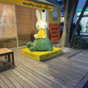 ヒメ日記 2025/01/12 21:50 投稿 まりあ 奥鉄オクテツ東京店（デリヘル市場）