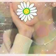 ヒメ日記 2025/03/16 10:30 投稿 まりあ 奥鉄オクテツ東京店（デリヘル市場）