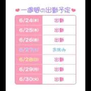 ヒメ日記 2026/06/24 14:07 投稿 らぱん ハピネス東京