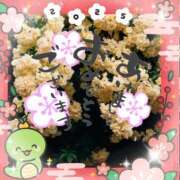 ヒメ日記 2025/01/01 23:02 投稿 ゆかり One More奥様　立川店