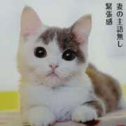 ヒメ日記 2025/01/22 14:35 投稿 矢澤　さな しこたま奥様 札幌店