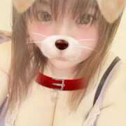 ヒメ日記 2025/07/03 09:18 投稿 矢澤　さな しこたま奥様 札幌店