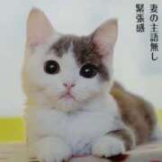 ヒメ日記 2026/01/30 19:53 投稿 矢澤　さな しこたま奥様 札幌店