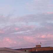 ヒメ日記 2026/03/10 12:39 投稿 矢澤　さな しこたま奥様 札幌店