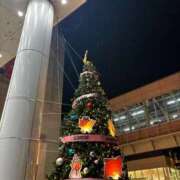 ヒメ日記 2025/12/22 20:12 投稿 ゆら Luminous