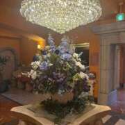 ヒメ日記 2025/03/15 15:50 投稿 円城　あおは エテルナ京都