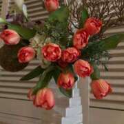 ヒメ日記 2025/07/11 15:37 投稿 円城　あおは エテルナ京都