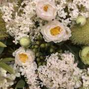 ヒメ日記 2025/08/21 17:37 投稿 円城　あおは エテルナ京都