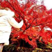 ヒメ日記 2025/12/08 12:01 投稿 叶咲-KAE- luxury aroma 咲