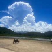 ヒメ日記 2026/01/03 01:04 投稿 ひめの/Himeno VERY（ヴェリィ)