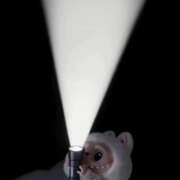 ヒメ日記 2026/01/19 21:54 投稿 ひめの/Himeno VERY（ヴェリィ)