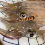 ヒメ日記 2026/02/16 21:43 投稿 ひめの/Himeno VERY（ヴェリィ)