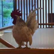 ヒメ日記 2026/06/13 22:40 投稿 ひめの/Himeno VERY（ヴェリィ)