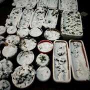 ヒメ日記 2025/03/05 00:21 投稿 きさき◇黒髪の豪華絢爛ギャル◇ H-ash（アッシュ）