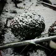 ヒメ日記 2025/03/08 23:56 投稿 きさき◇黒髪の豪華絢爛ギャル◇ H-ash（アッシュ）