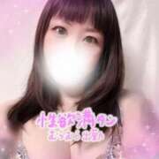 ヒメ日記 2025/07/19 11:15 投稿 みどり ぽっちゃり巨乳美女専門川越ちゃんこ