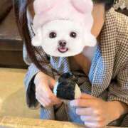 ヒメ日記 2025/05/16 12:04 投稿 はる 人妻倶楽部 内緒の関係 越谷店