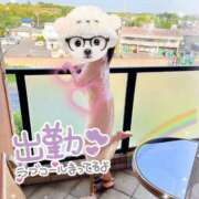 ヒメ日記 2025/07/10 14:23 投稿 はる 人妻倶楽部 内緒の関係 越谷店