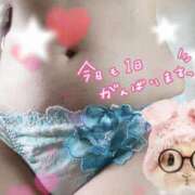 ヒメ日記 2025/08/01 12:23 投稿 はる 人妻倶楽部 内緒の関係 越谷店