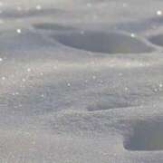 ヒメ日記 2025/03/01 12:16 投稿 ヒョン ドM女学園大阪