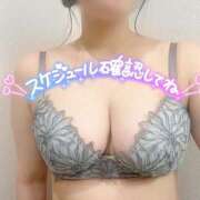 ヒメ日記 2025/08/12 12:51 投稿 とわ MOTHER(旧ママとおねえさん)