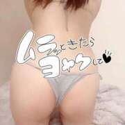 ヒメ日記 2025/10/08 16:51 投稿 とわ MOTHER(旧ママとおねえさん)